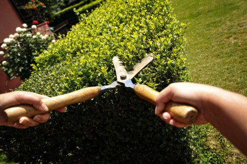 Trimmer cutting through dense hedges in a lush garden