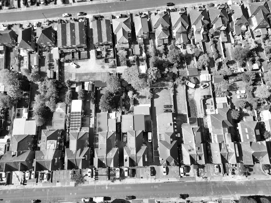A residential garden in Lewisham with tall, leafy trees providing shade over a wooden garden fence. Behind the fence, there are multiple multi-story houses with varied window styles and colors, situat